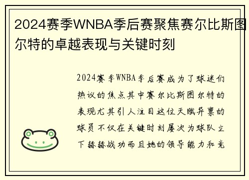 2024赛季WNBA季后赛聚焦赛尔比斯图尔特的卓越表现与关键时刻
